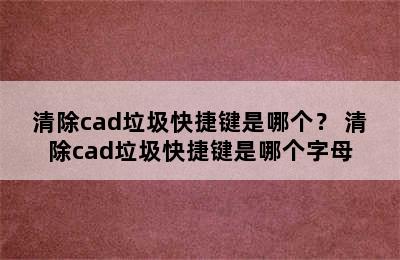 清除cad垃圾快捷键是哪个？ 清除cad垃圾快捷键是哪个字母